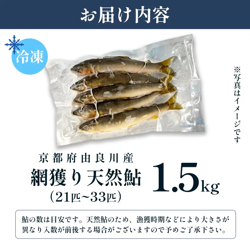 天然鮎 網獲り 冷凍 約1.5kg（約21匹～33匹）あゆ 鮎
