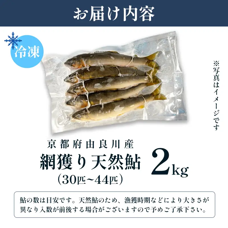 天然鮎 網獲り 冷凍 約2kg（約30匹～44匹）あゆ 鮎