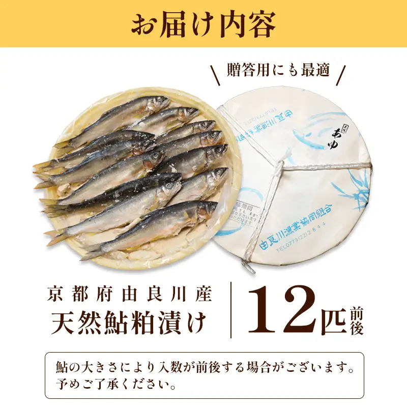 天然鮎の粕漬け 12匹 あゆ 鮎 粕漬け