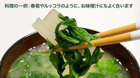 つくばみらい市 で栽培した セルバチカ ( ワイルドルッコラ ) 500g