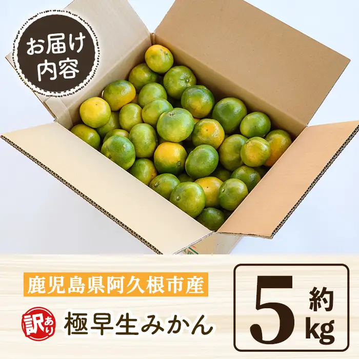 ＜先行予約受付中！2026年9月中旬以降順次発送予定＞ 極早生みかん (約5kg) 国産 みかん 極早生 早生 柑橘 果物 フルーツ デザート 果実 期間限定 数量限定 【古田果樹園】 akn093-06