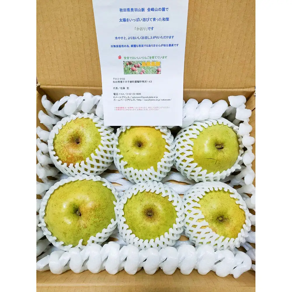 【先行受付】9月中旬より発送 かおり約3kg（5～8玉）かおり梨 大玉品種 青梨 和梨 秋田県横手市
