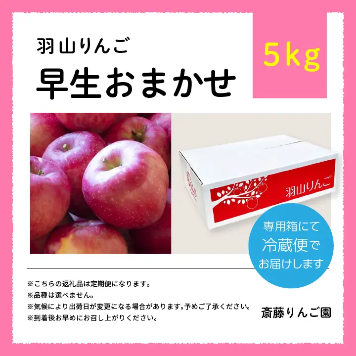 りんご 【3ヶ月定期便】品種おまかせ！羽山のりんご5kg×3回 りんご リンゴ 果物 フルーツ【斎藤りんご園】