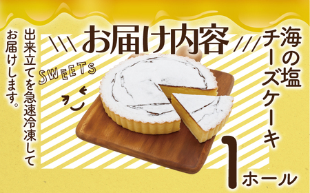 【海の塩 ベイクドチーズケーキ】 16cm /  チーズケーキ