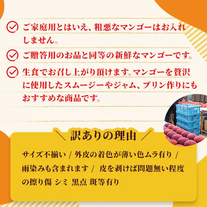 《先行予約2027年発送》沖縄県宮古島・完熟マンゴー2kg【ご家庭用】ティダマンゴー宮古島農園（AI003）