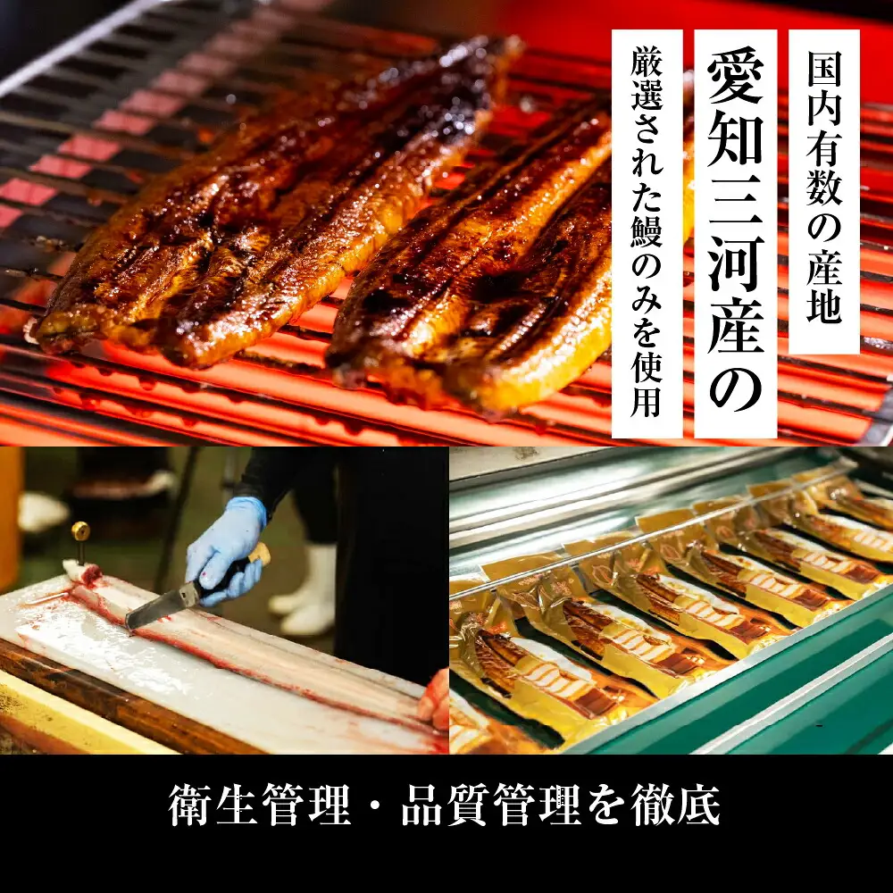 愛知県産 幻醸うなぎ きざみ 10食 うなぎ