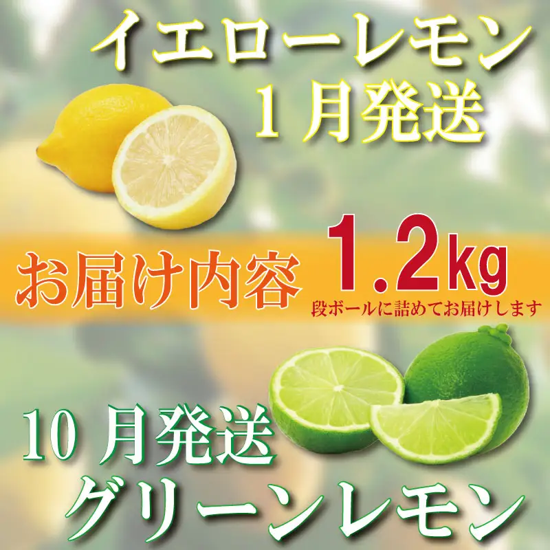 【ふるなびWEEK対象】【2026年10月順次発送】 レモン 1.2kg (10or12個) れもん 檸檬 柑橘 フルーツ 