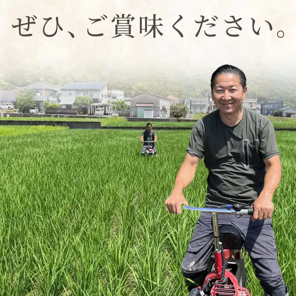 【令和8年8月下旬発送】特別栽培米 ミルキークイーン ５ｋｇ ミルキークイーン sr-0002