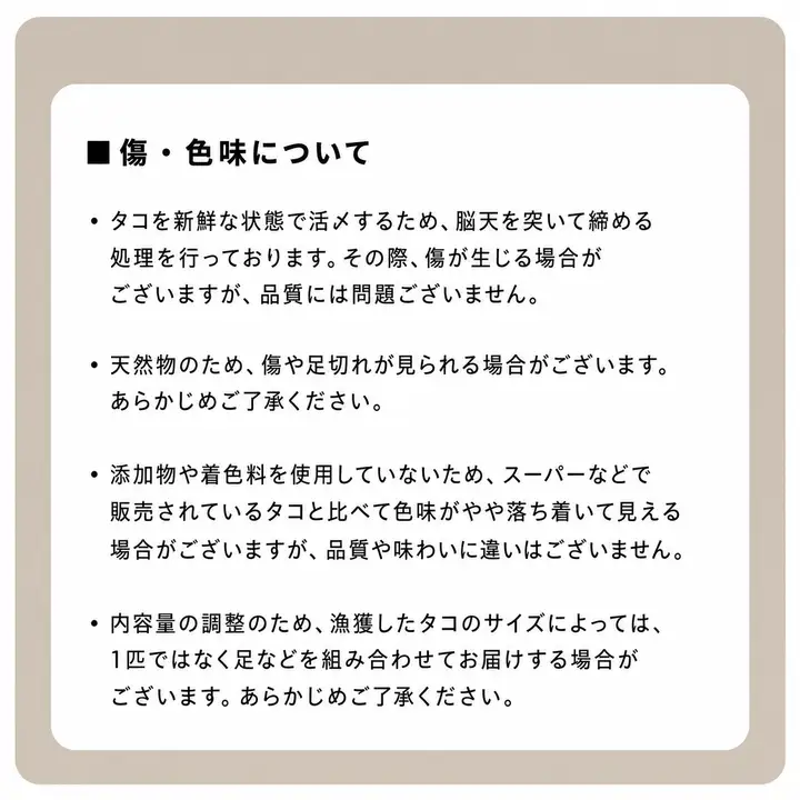 真だこ 冷凍 約800g  たこ ボイル たこ