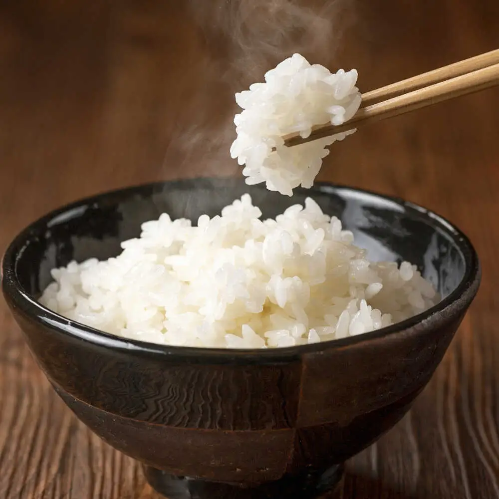 【先行予約 /10月以降配送】 【令和8年産】福井県産 こしひかり 米10kg 白米 新米 / 小浜市 / Grow Farm [BFDI002] 