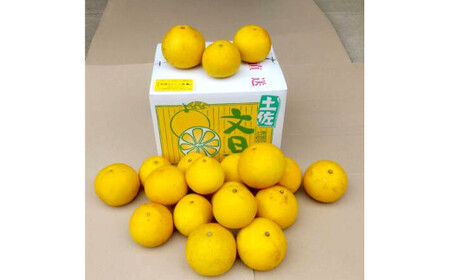 【先行予約】土佐文旦 文旦 訳あり 大玉入り 20kg 20キロ 3L?L 〈2027年2月?発送〉ぶんたん  フルーツ  みかん 果物  柑橘類   ご自宅用 お取り寄せ 国産【松岡ぶんたん園】 [BQBE003]