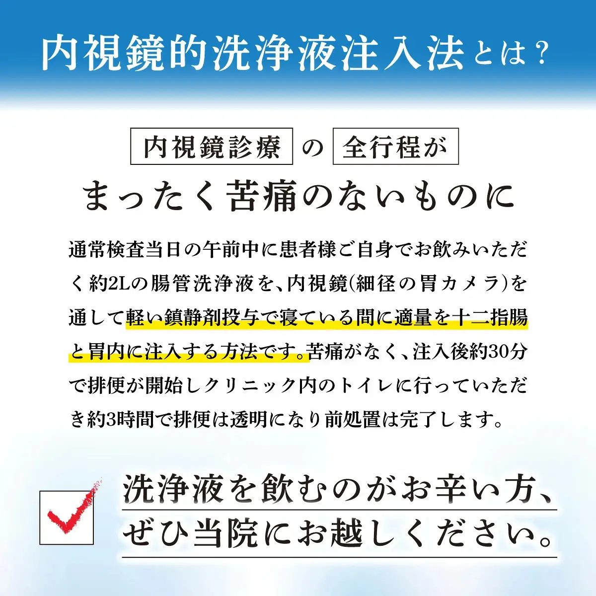 1日で終わる 大腸内視鏡診療（内視鏡的洗浄液注入法プラン） (日帰り) 1名様【芦屋三戸岡クリニック】消化器内視鏡専門クリニック