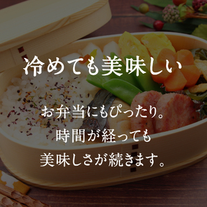 令和8年産 新米 先行予約 鳥取県日南町産コシヒカリ 定期便 10kg×3か月(合計30kg) 新屋のひとしずく ～野組450～ 米 お米 おこめ 精米 こしひかり