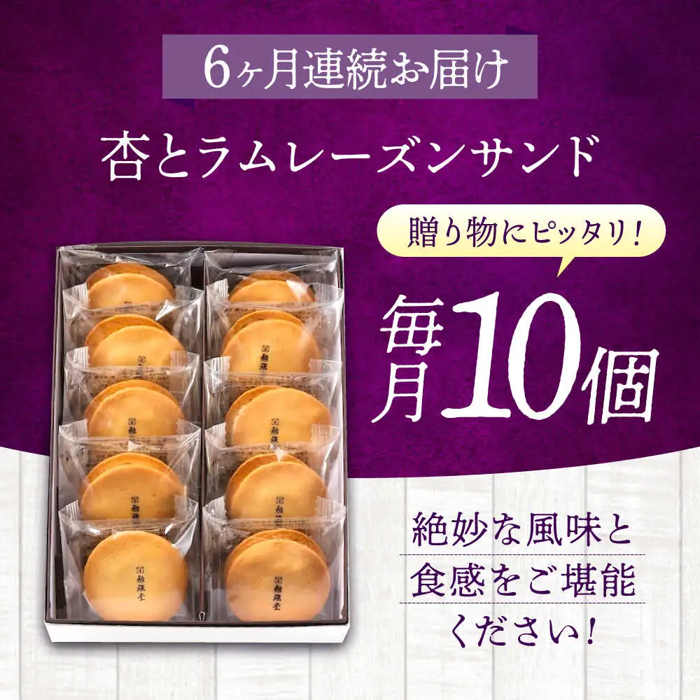【全6回定期便】 お菓子 杏とラムレーズンサンド 10個入り[BAFL016]お菓子