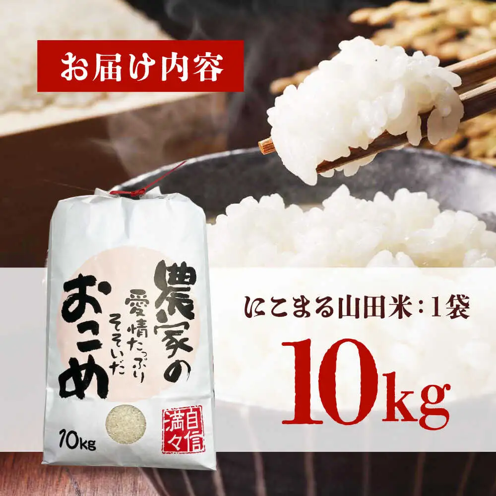 米 令和7年産 にこまる10kg [BAFU001] 米