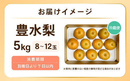【先行予約】 豊水梨 1箱 5kg入り (8～12玉)【2026年9月上旬以降順次発送予定】 梨 なし [B-16205]
