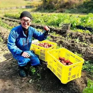 有機JAS認証 旬の野菜セット 8品【ぶたちゃんの畑】_HA1708