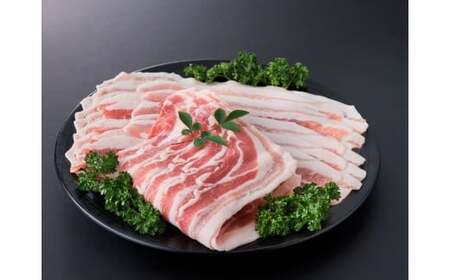 【部位3種食べ比べ!】【数量限定】九州産豚肉 3種セット 計3.1kg（ 国産 豚 豚肉 豚肉セット 豚肉小分け とんかつ 豚バラ 豚スライス 豚ロース 豚切り落とししゃぶしゃぶ 大容量 冷凍 ）
