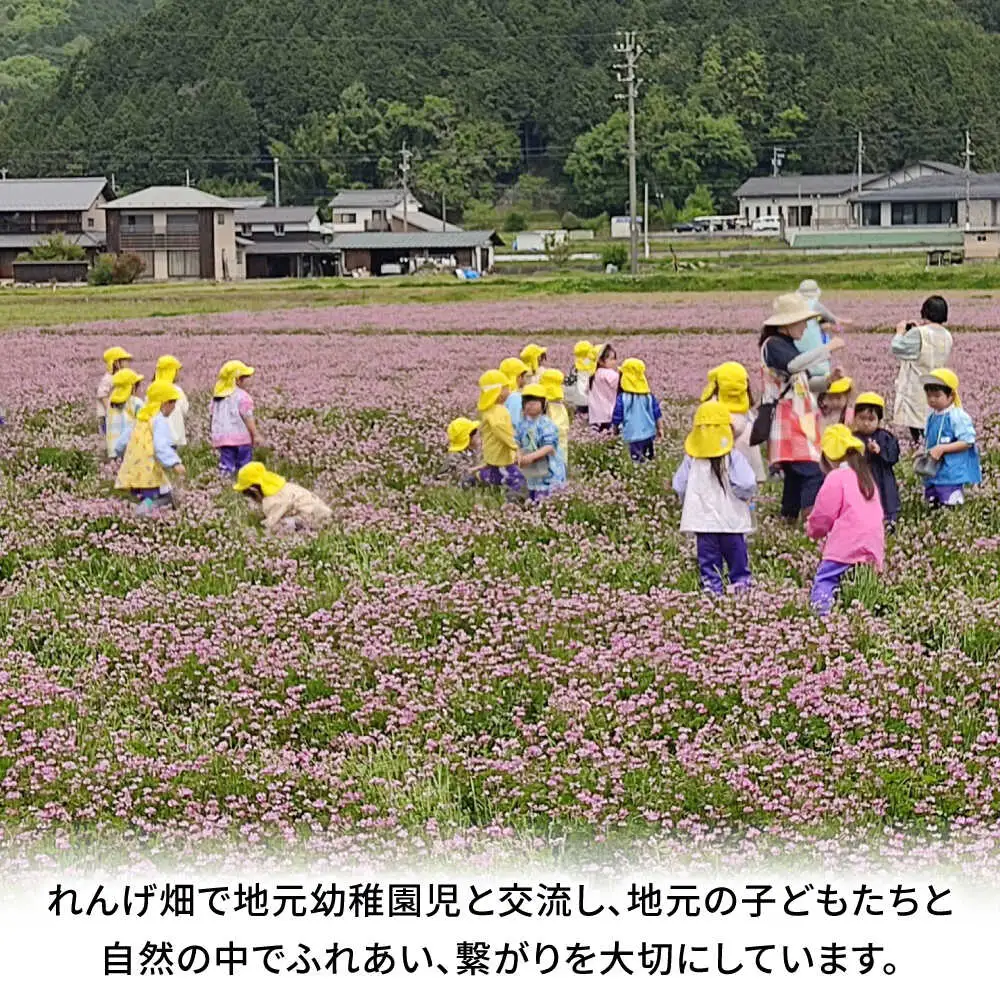 【12月中旬より発送】 みたけ のし餅 5合（約1kg）/餅 お餅 のしもち/御嵩町/株式会社アオキ[AVBN002]