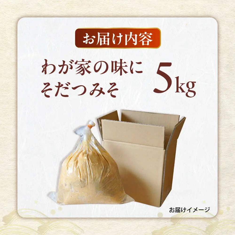 育てる味噌キット 5kg VAV019 みそ 米味噌 キット