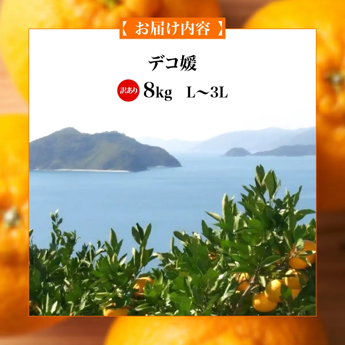 【先行予約】【訳あり】デコ媛 8kg（L～3L）※離島への配送不可（2027年2月下旬頃より順次発送予定） IKTAR010