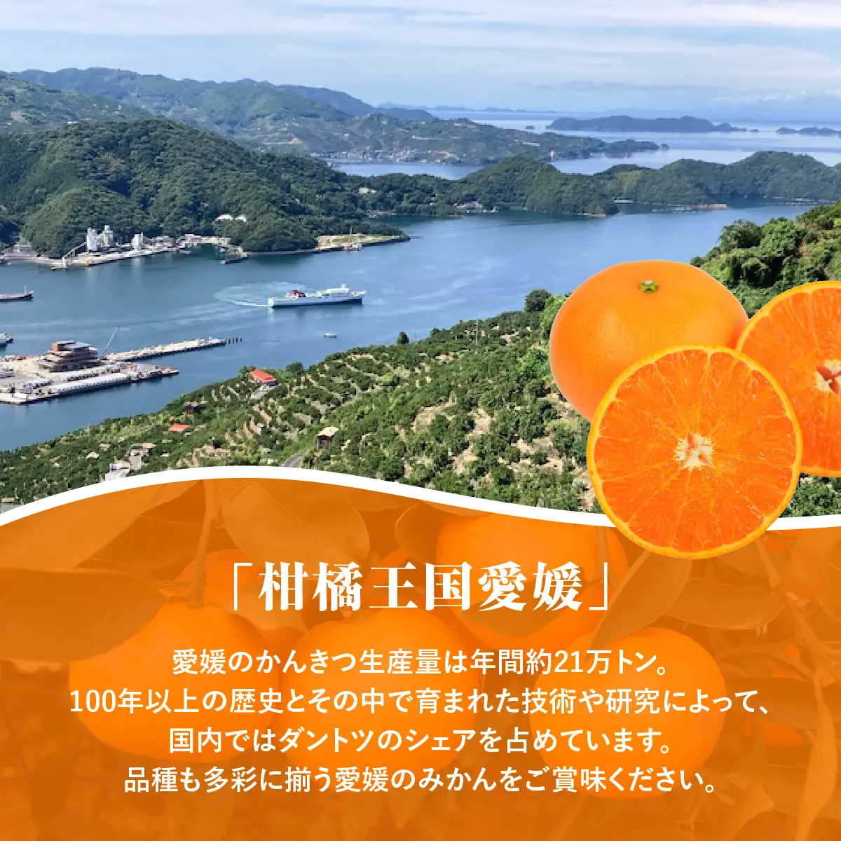 【愛媛県共通返礼品】【定期便】愛媛の柑橘定期便（全6回）（日の丸みかん・紅まどんな・いよかん・デコポン・せとか・河内晩柑） ※2026年11月～2027年4月に毎月1回発送予定  IKTAX018