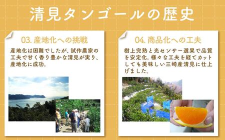 【先行予約】清見タンゴール（貯蔵・生果5kg）※離島への配送不可（2027年5月上旬～5月中旬頃より順次発送予定）  IKTBD007