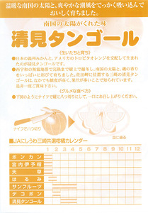 【先行予約】清見タンゴール（生果2.5kg）※離島への配送不可（2027年3月上旬～4月上旬頃より順次発送予定） IKTBD014