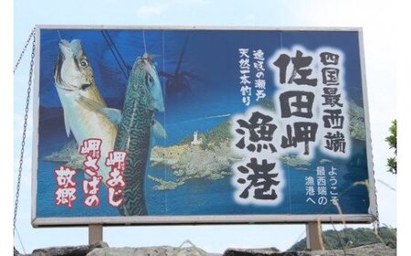 【数量限定】佐田岬海士のあわび・さざえセットB ※北海道・東北地方・沖縄・離島への配送不可 IKTJ002