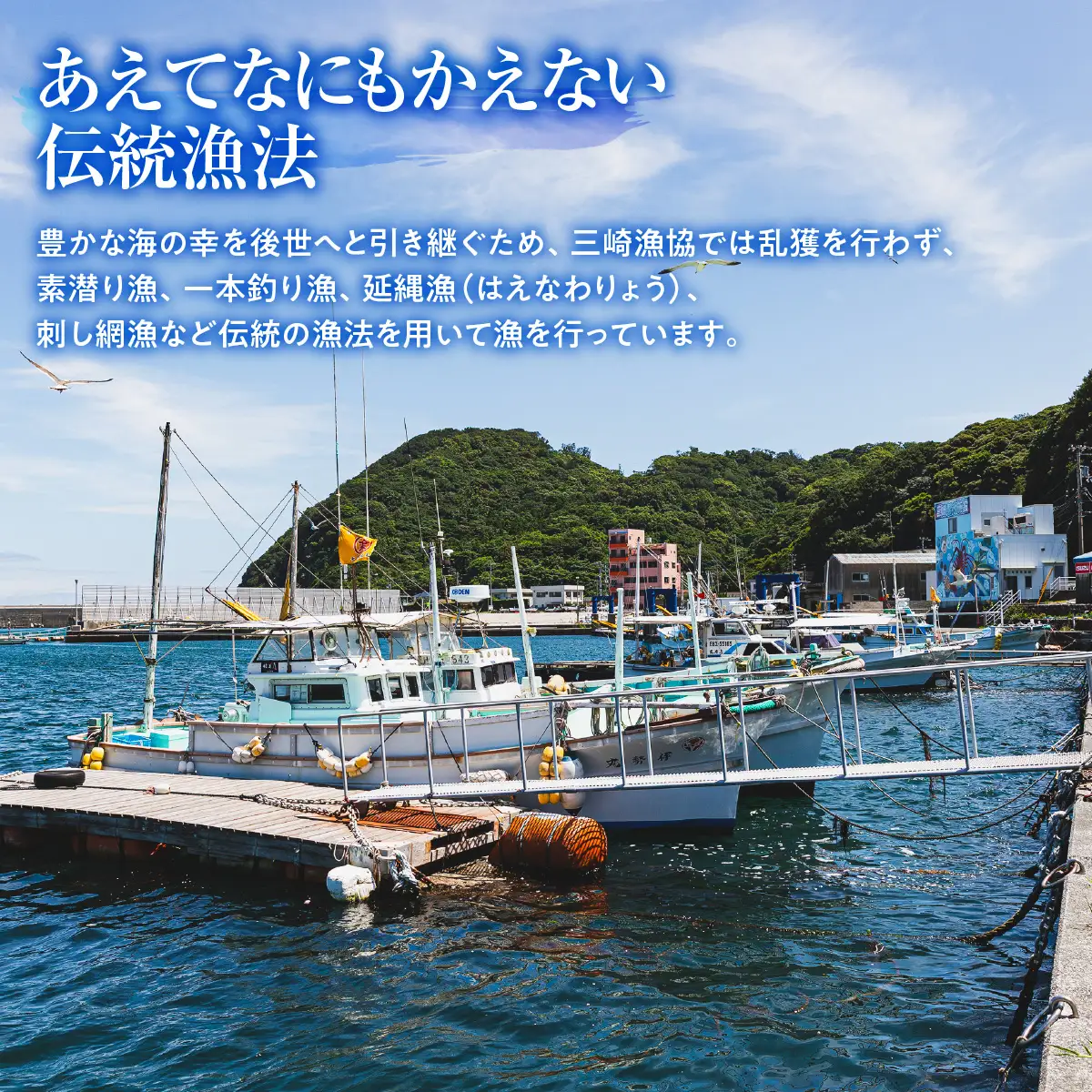 【先行予約】【数量/期間限定】三崎の赤ウニ（塩水パック） 約80g ※北海道・東北地方・沖縄・離島への配送不可（2026年8月上旬より順次発送） IKTJ017