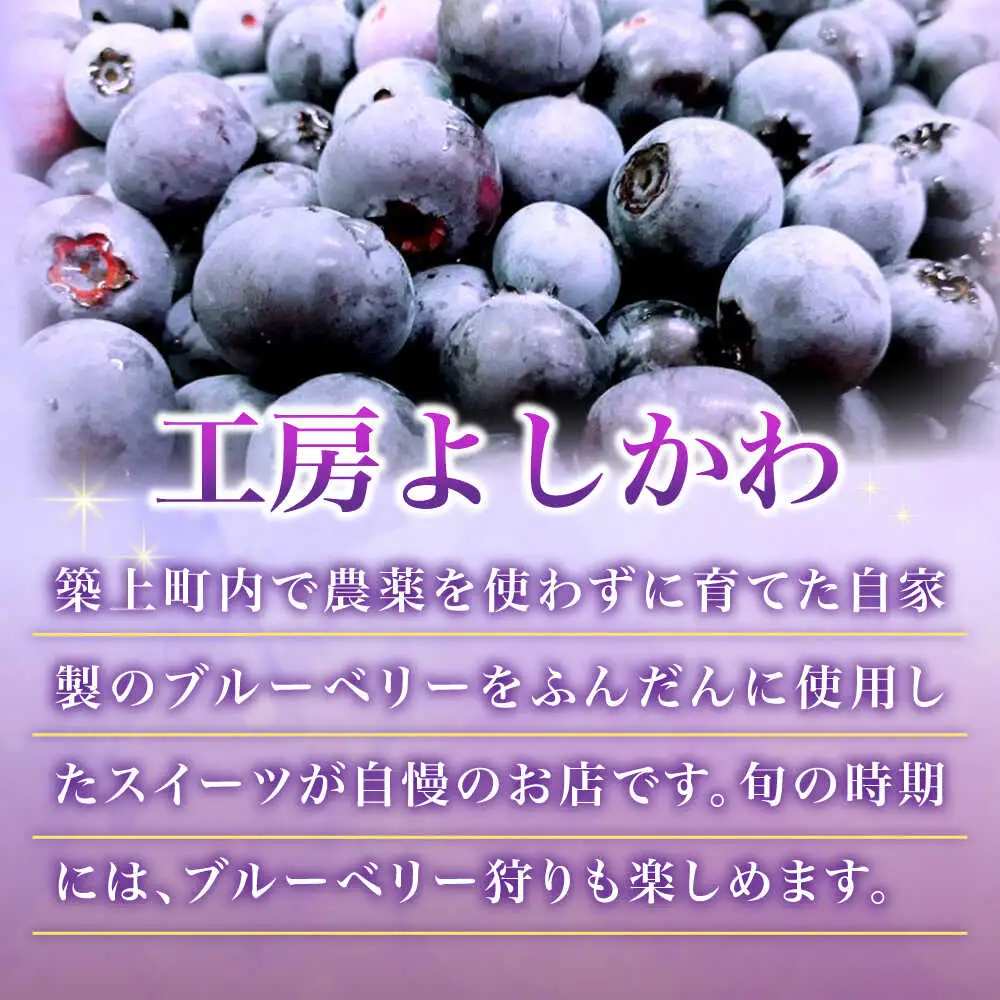 ふわふわのシフォンケーキ2種セット(プレーン、紅茶) [ABAK006]