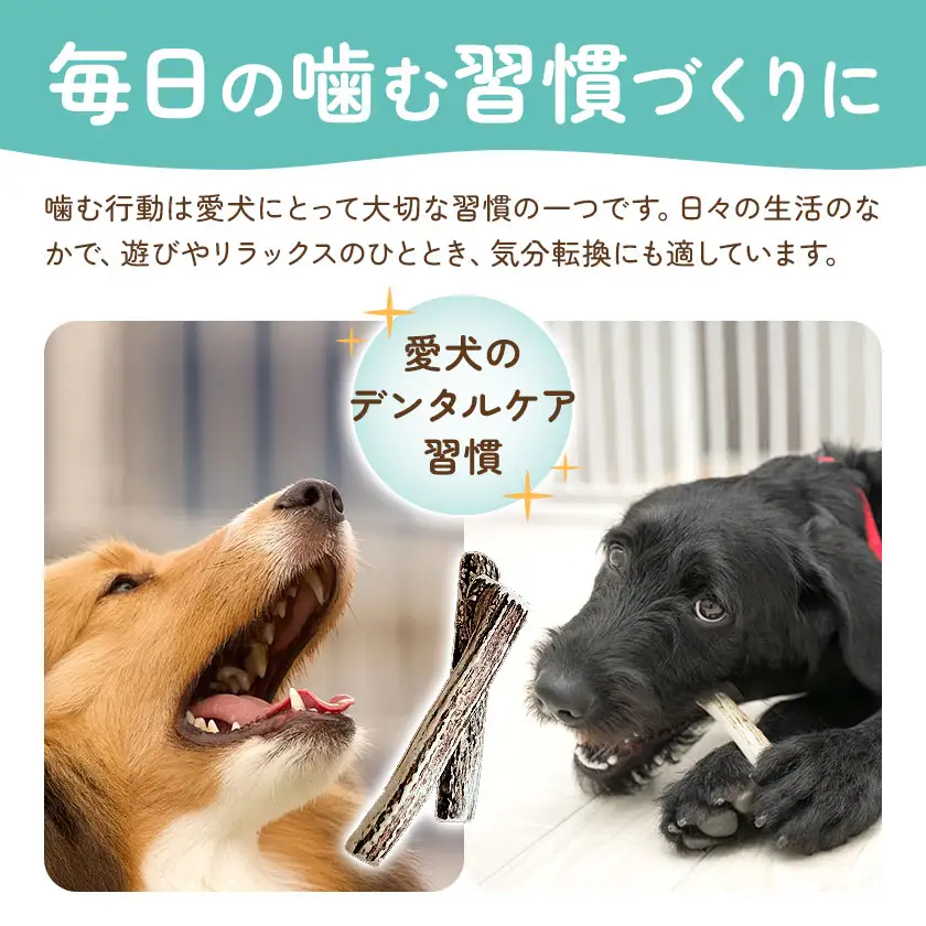 ペットのデンタルケア えぞ鹿の角 Sサイズ 株式会社K