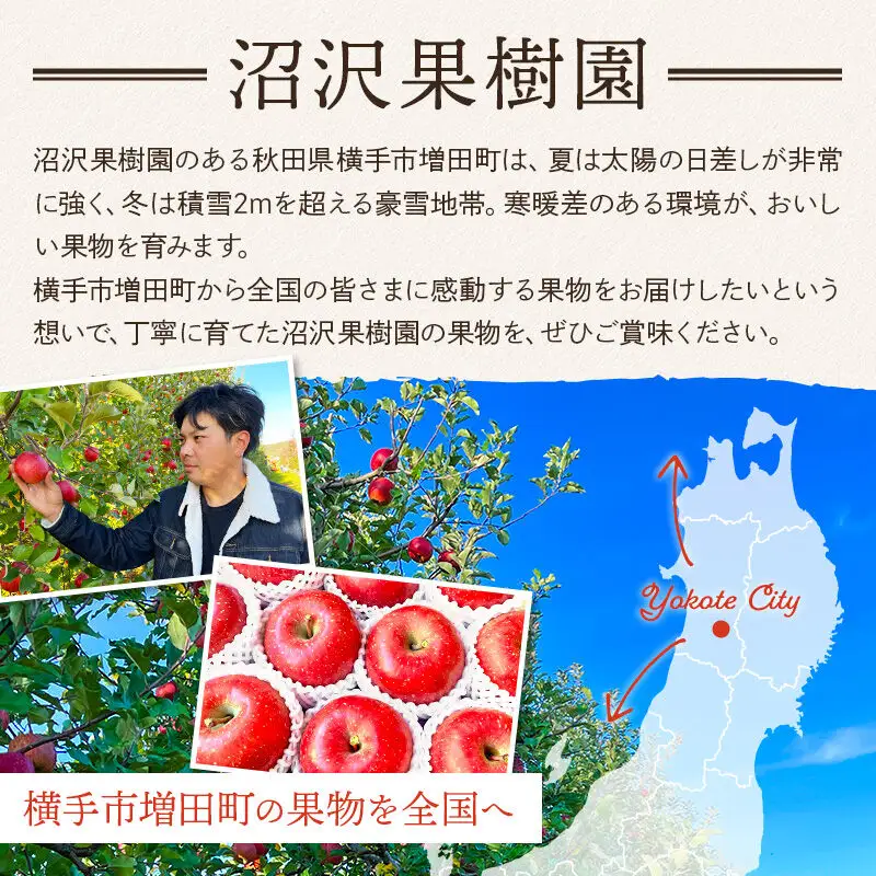 【先行受付】11月上旬より発送 ぐんま名月 ご家庭用 約5kg りんご リンゴ 林檎