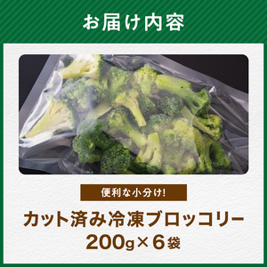 小分け カット済み ブロッコリー 冷凍 1.2kg 北海道森町産 野菜 おかず お弁当 便利 小分け カット済み ブロッコリー 冷凍 mr1-0942