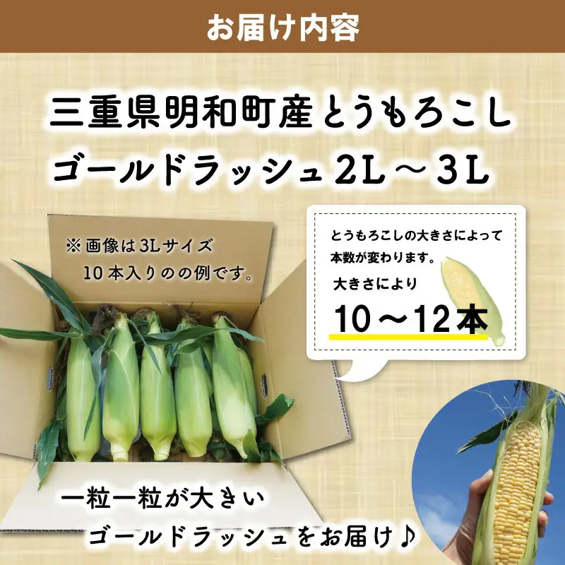 明和町産 朝採れ とうもろこし ゴールドラッシュ 10本～12本 BBQ 人気 トウモロコシ 生 野菜 新鮮 採れたて 産地直送 朝どれ 甘い 期間限定 国産 旬 夏野菜 きたむら