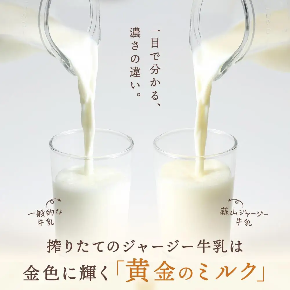 ヨーグルト 岡山県真庭市蒜山 ひるぜんジャージーデザートヨーグルト12個セット（4種×3個） 【hiru014-01】