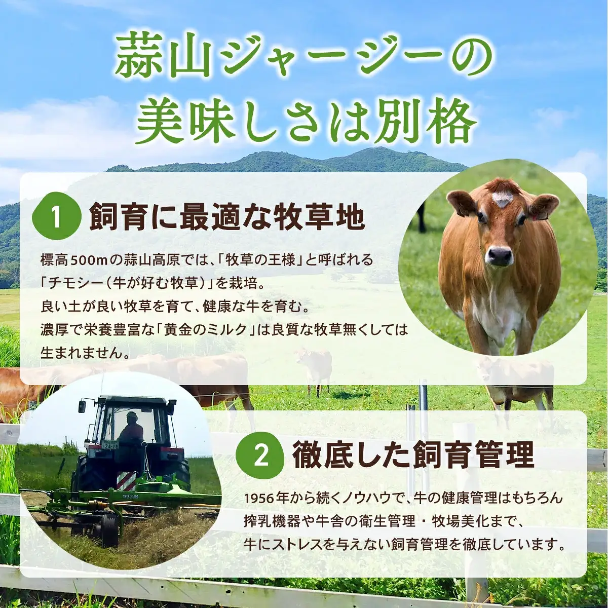ヨーグルト 岡山県真庭市蒜山 ジャージーヨーグルト20個入 【hiru001-01】