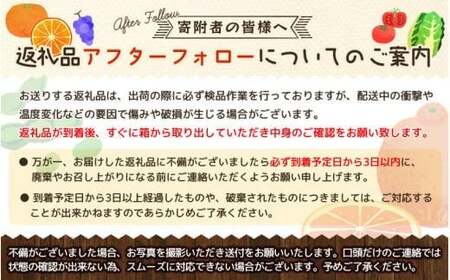 【きよとうファーム】訳あり品 シャインマスカット＆サニードルチェ/約2.2kg~ (岡山県産)【KF-B089-03】