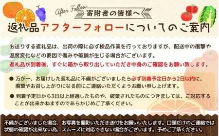 【３回定期便】 シャインマスカット 岡山県産特大シャインマスカット２房×3回/全便計3.9kg～ 【KF-T045-02】