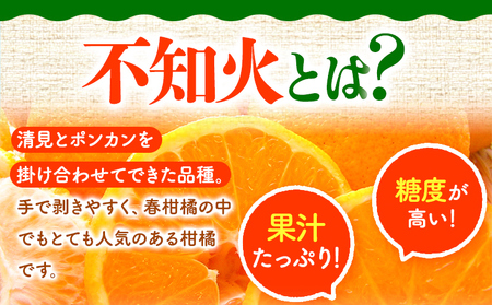 訳あり 小玉 不知火 ( デコポン ) 約10kg