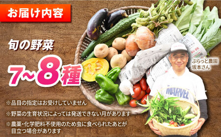 【一人暮らしに】自然栽培・旬の野菜詰め合わせ 五島市/ぷらっと農園 [PDS005]