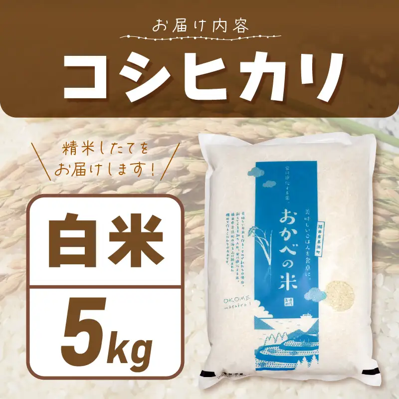 令和8年産 愛情たっぷり健やかに育った もちもち 甘い コシヒカリ（白米）5kg【新米 米】 [m29-a030]