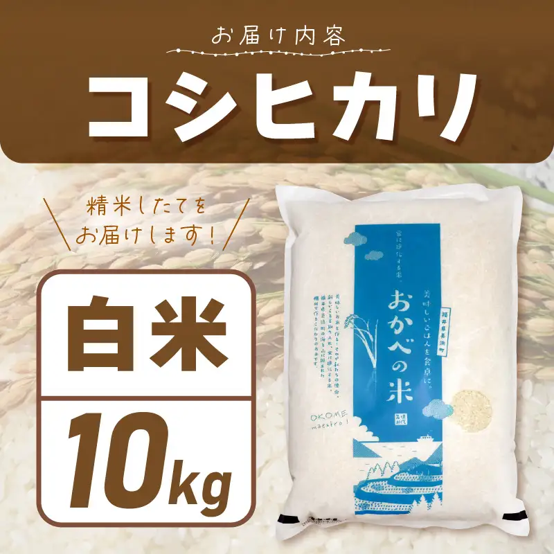 令和8年産 愛情たっぷり健やかに育った もちもち 甘い コシヒカリ（白米）10kg【新米 米】 [m29-b007]