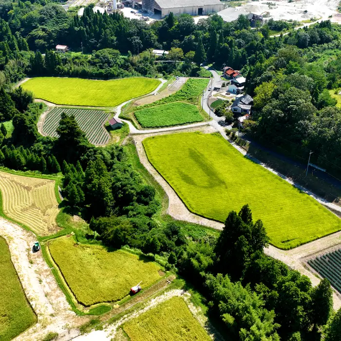 【令和8年産 先行予約】産地直送　源流に育まれた、コシヒカリ米（5kg）【お米 島根県産 精米  新米 】