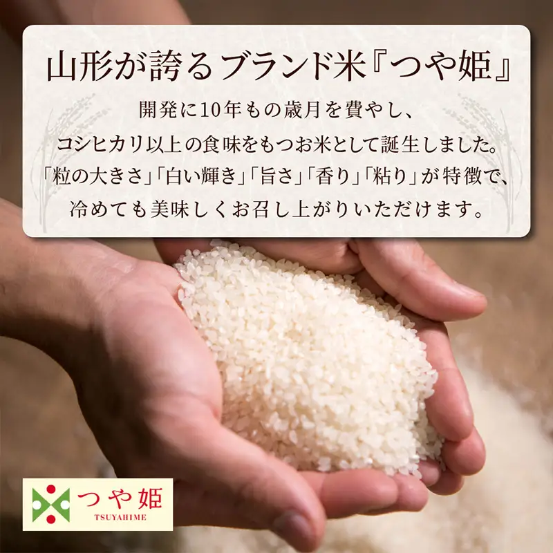 やまがた玄米パックごはん 150g×9個  (つや姫) ラベルレス 訳あり 山形 パックライス 備蓄 保存 FZ25-170