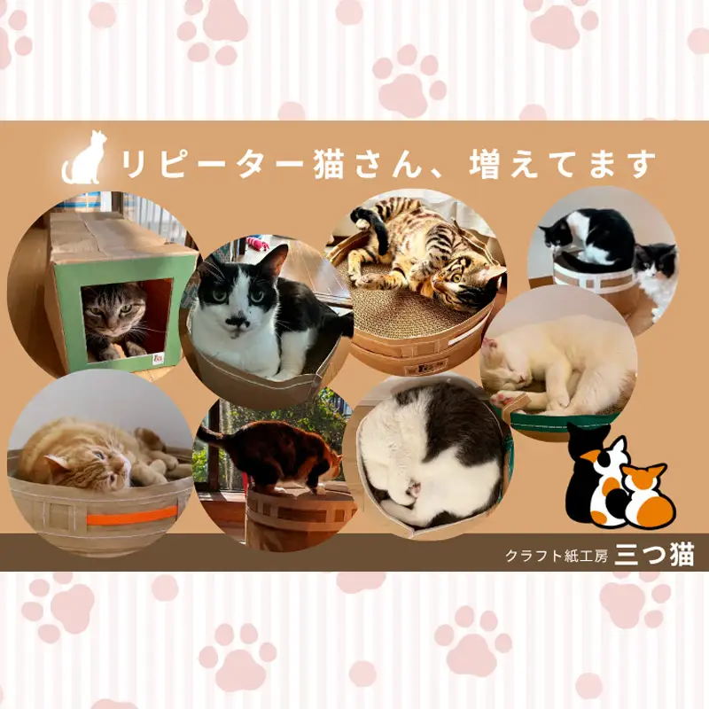 猫爪とぎセット(爪とぎ・猫トンネル) M-01 FY25-194
