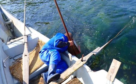 北海道 礼文島産 天然 天日干しわかめ 80g×2袋 & 熟成ねかせ昆布粉10g［れぶんちゅら工房］【 天然だし 出汁 万能調味料 調理 昆布 昆布粉 粉 粉末 海鮮 減塩 ワカメ 海藻 磯の香り 肉厚 味噌汁 サラダ 酢の物 健康 】