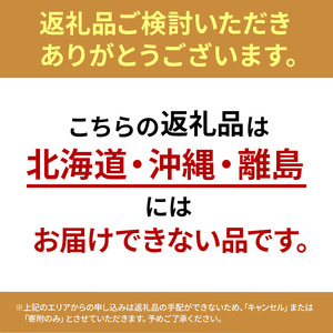 2026年 早期受付 ぶどう シャインマスカット 約２kg（3～4房）大粒  岡山県高梁市産 個装箱入り 葡萄 ブドウ 贈り物