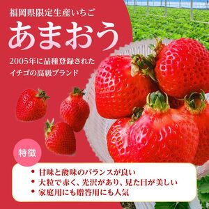 いちご 2027年2月より発送 うるう農園のあまおう大福キット(あまおう1パック＋大福6個セット) 果物 和菓子 生菓子 苺大福 フルーツ 和スイーツ 特別栽培 福岡県産 おやつ ※配送不可：離島