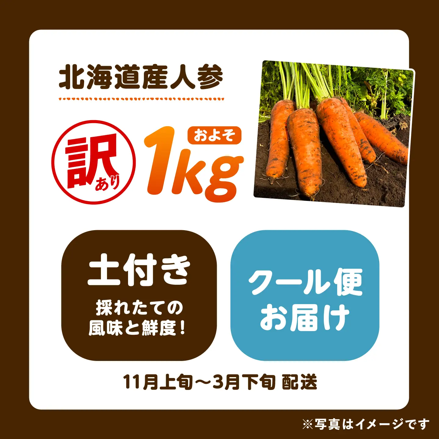 【先行予約】北海道 訳ありにんじん 1kg（土付き）にんじん [BEBA003]